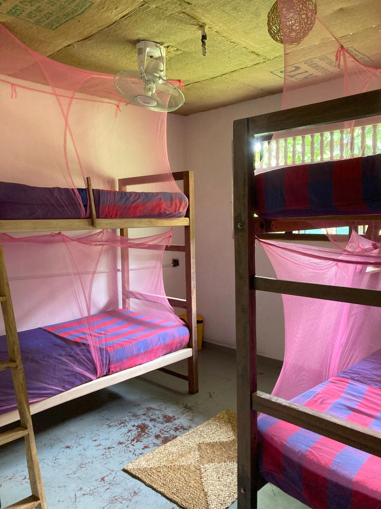 Hostel Singha Lounge Unawatuna Ngoại thất bức ảnh