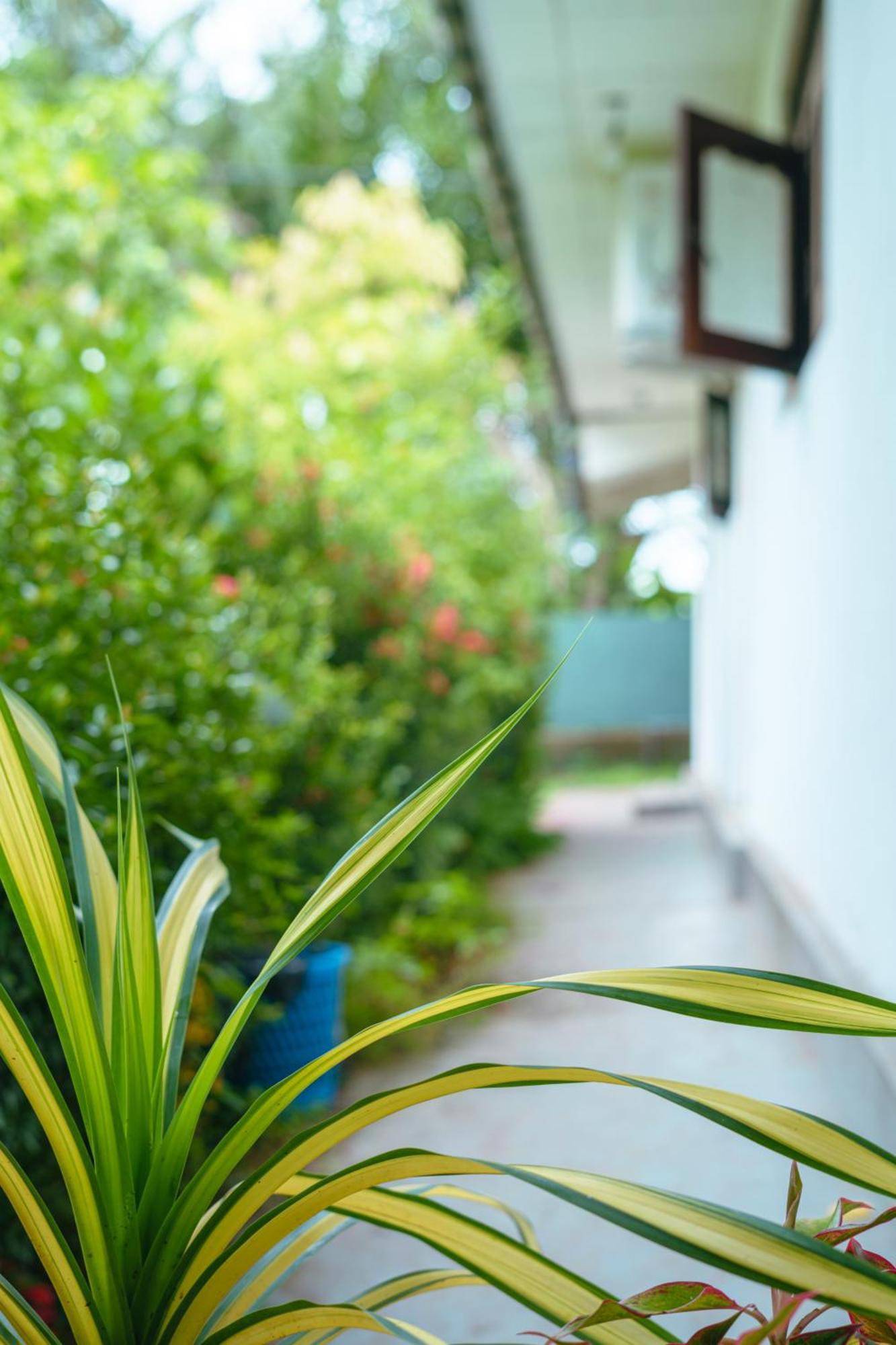 Hostel Singha Lounge Unawatuna Ngoại thất bức ảnh